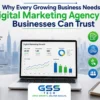 Digital Marketing Agency USA: infographic